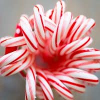 Peppermint Syrup