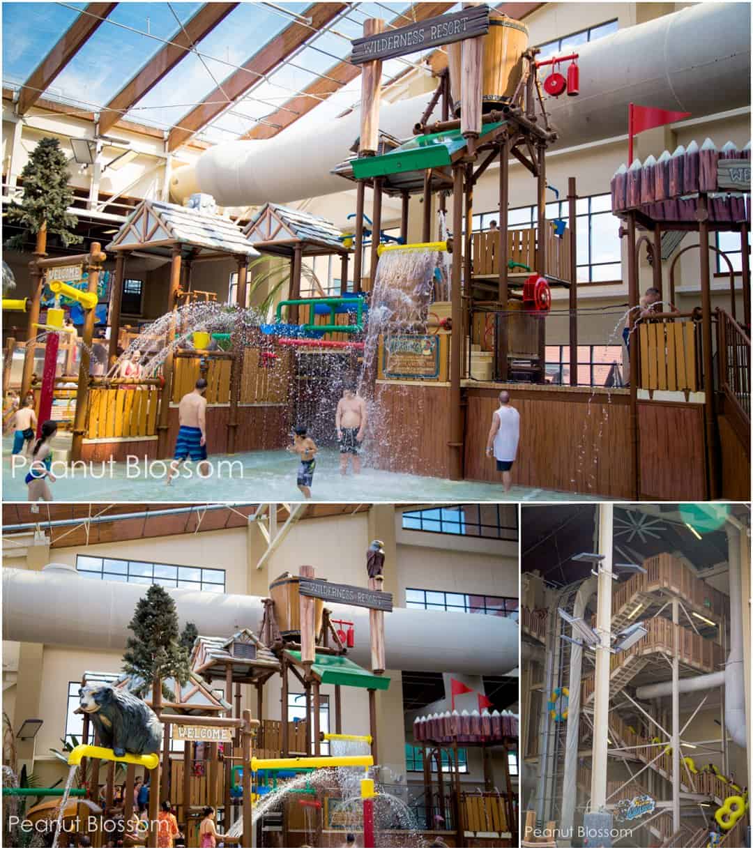 Wilderness at the Smokies an indoor waterpark getaway Peanut Blossom