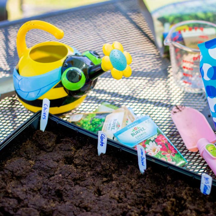 A bumble bee watering can sits next to newly planted seeds.