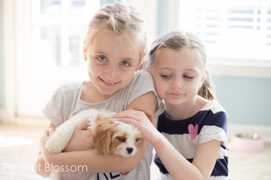 5 mistakes to avoid when bringing a puppy home to your kids