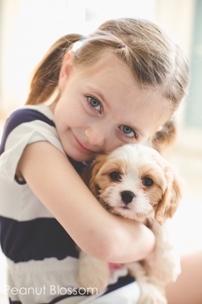 5 mistakes to avoid when bringing a puppy home to your kids