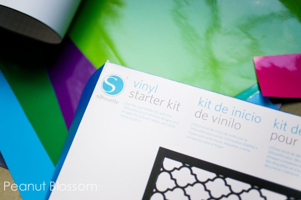 What you need to get started with a Silhouette Cameo