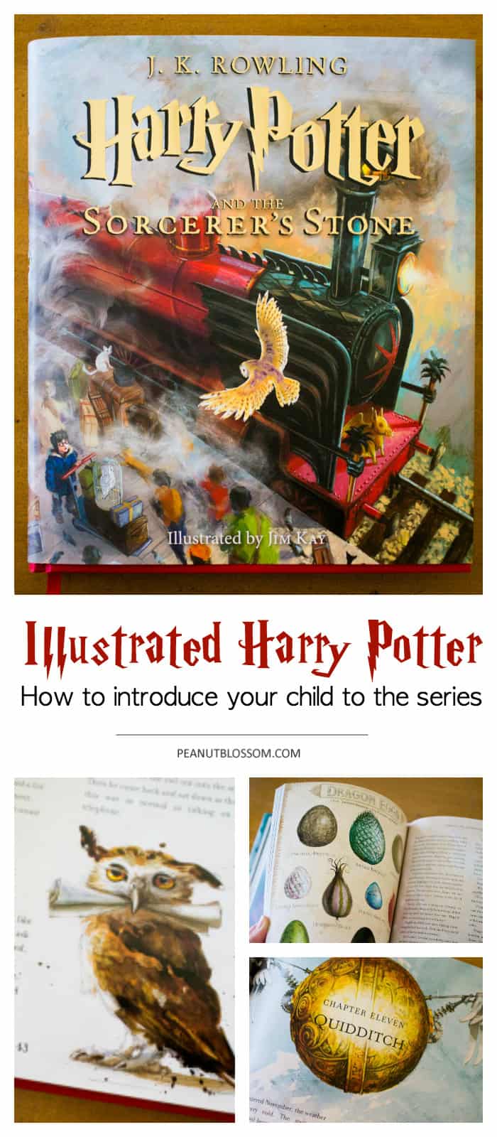 What is the perfect Harry Potter age for introducing the books? The Illustrated Harry Potter is the perfect way to start.