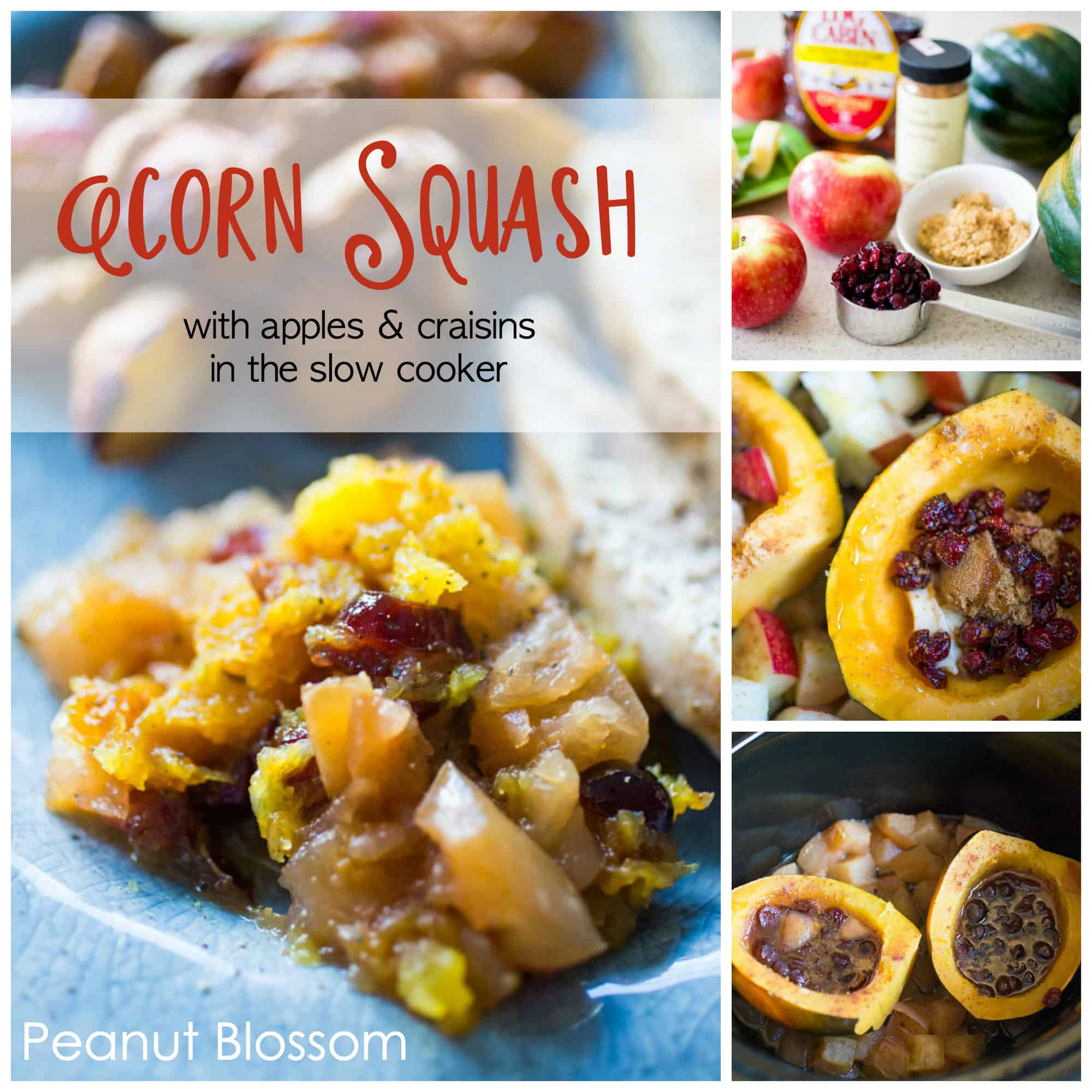 Slow cooker acorn squash with apples and craisins