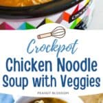 The chicken noodle soup is in the slowcooker.