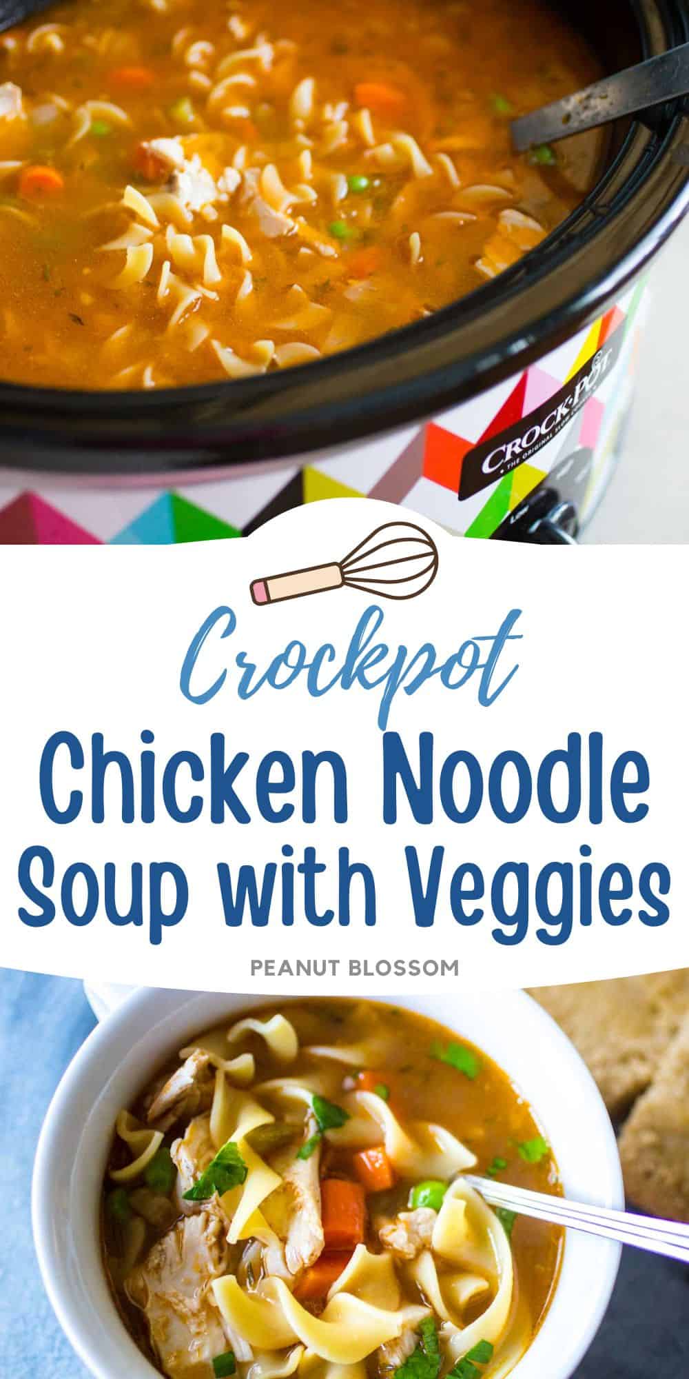 The chicken noodle soup is in the slowcooker.