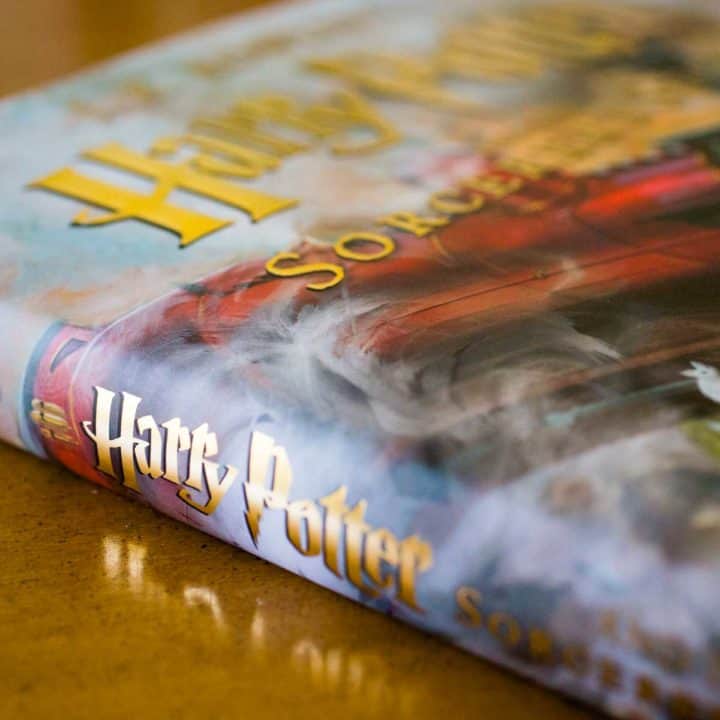 15 Harry Potter Gift Ideas for Teens - Peanut Blossom