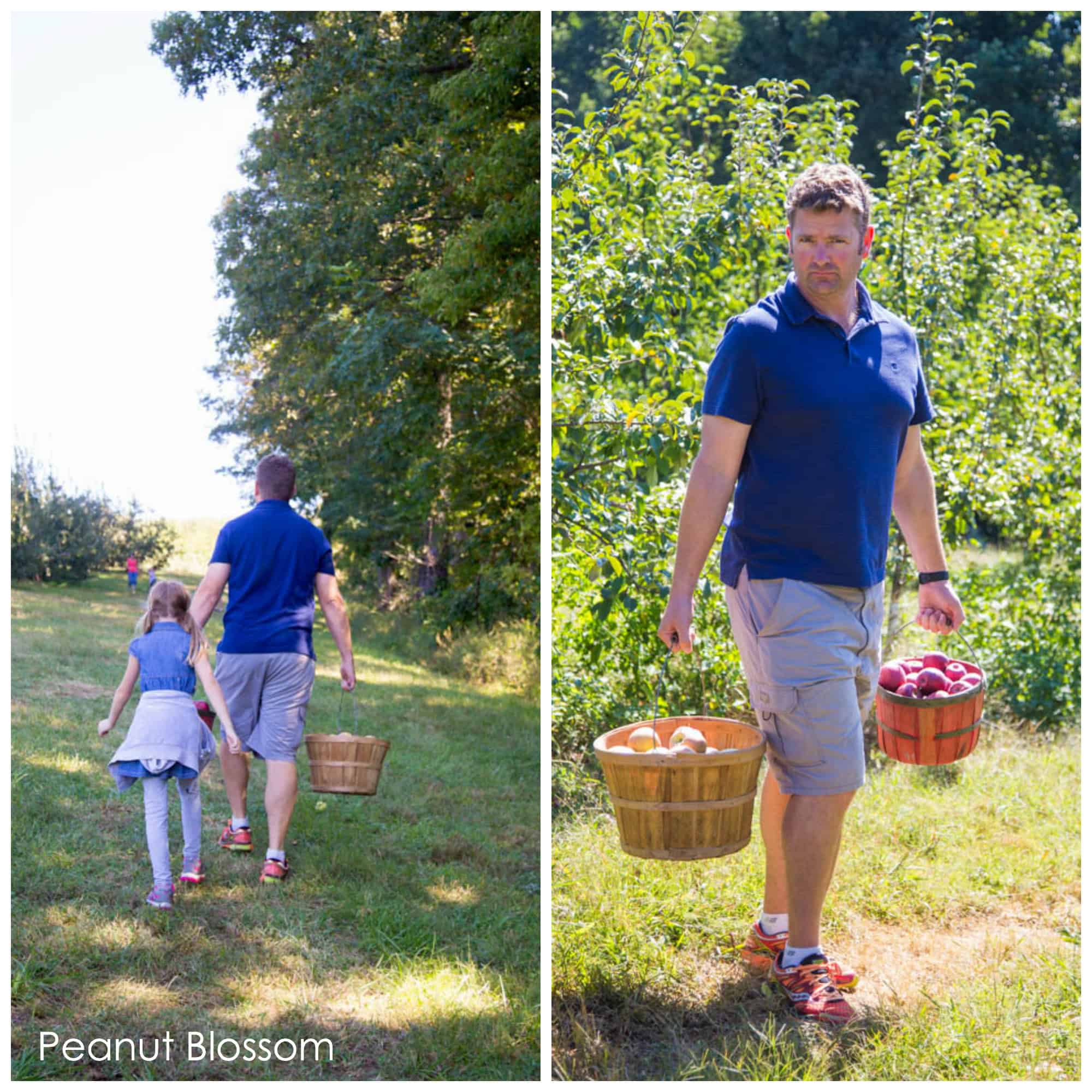 Taking pictures in full sun: perfect for fall family photos