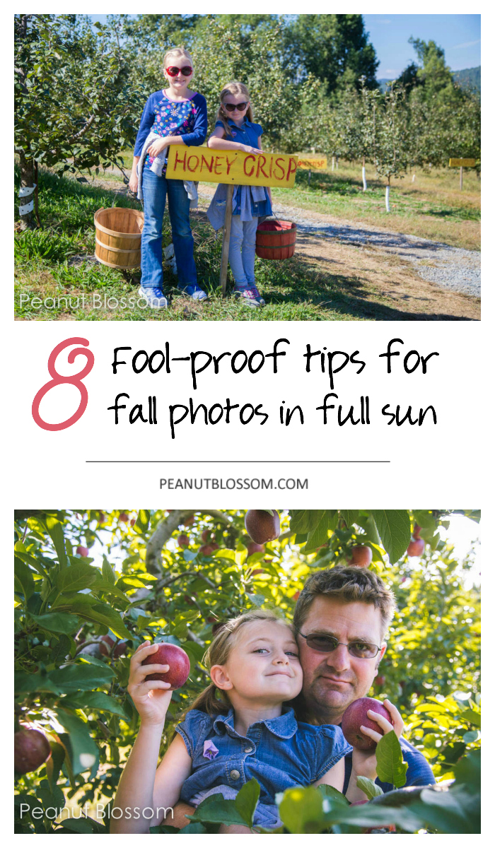 Taking pictures in full sun: perfect for fall family photos