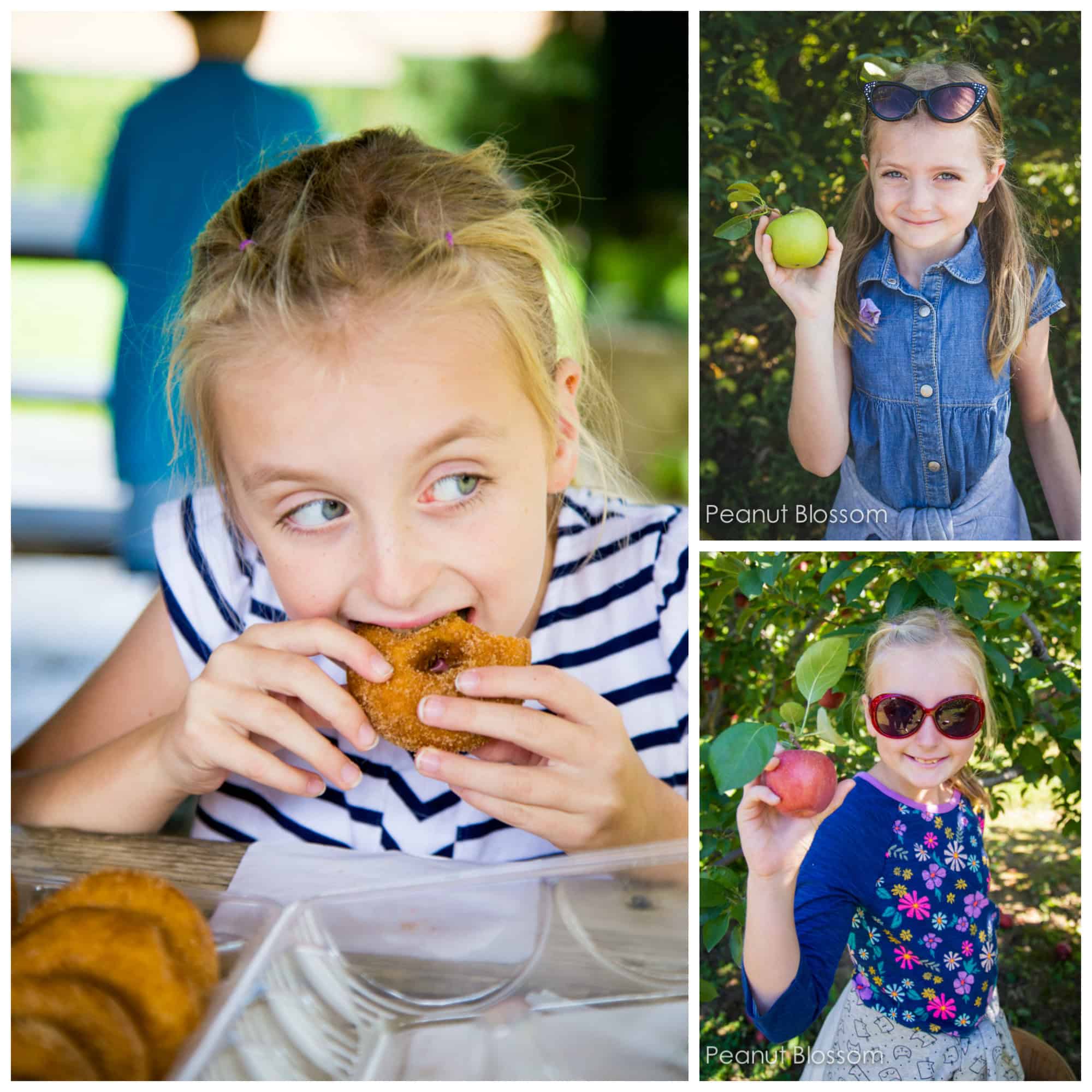 Taking pictures in full sun: perfect for fall family photos