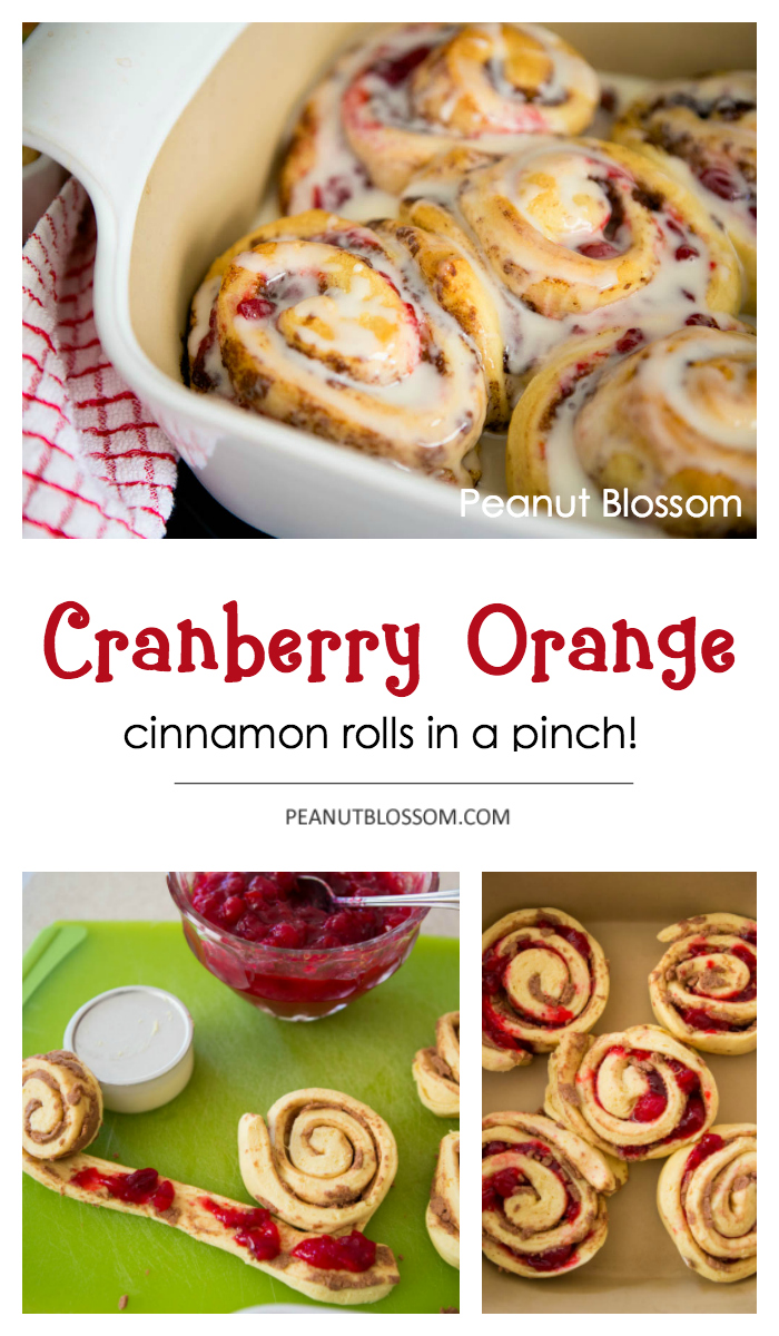 Cranberry Orange cinnamon rolls: Perfect for Thanksgiving leftovers
