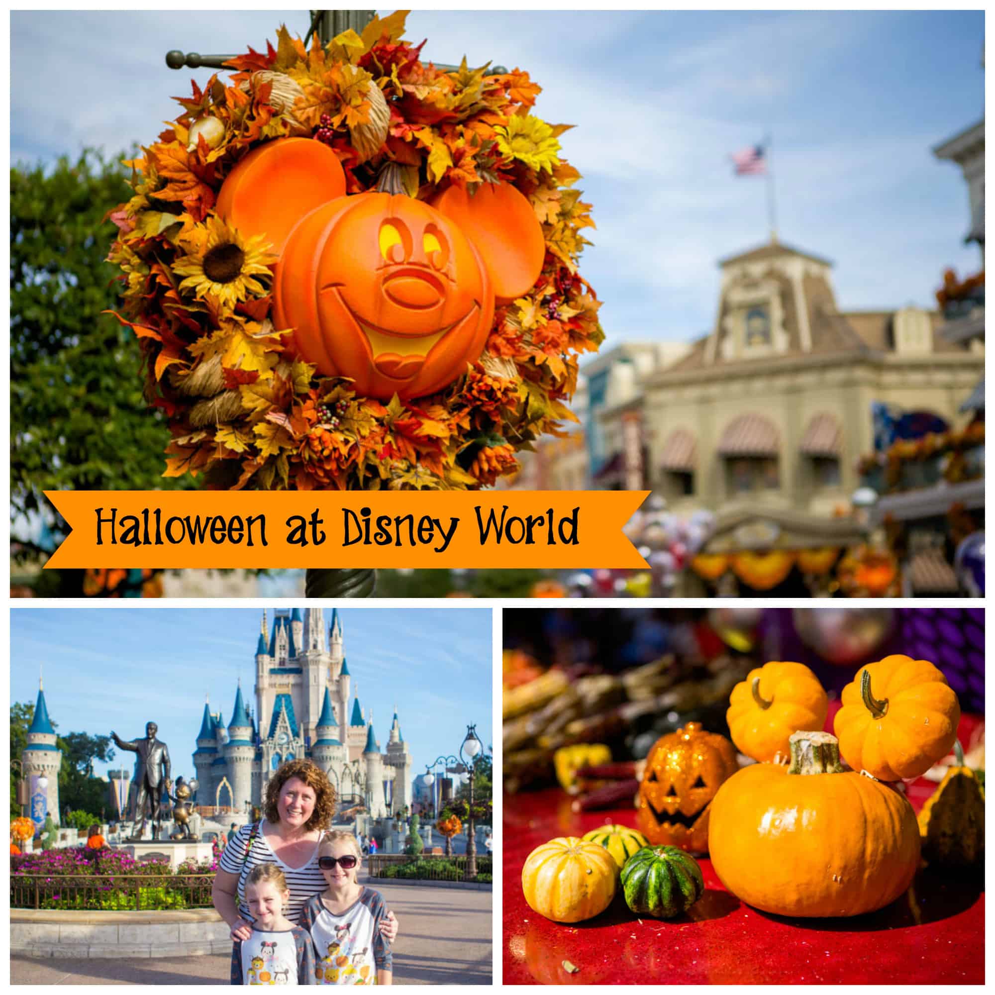 Mickey's Not So Scary Halloween Party tips