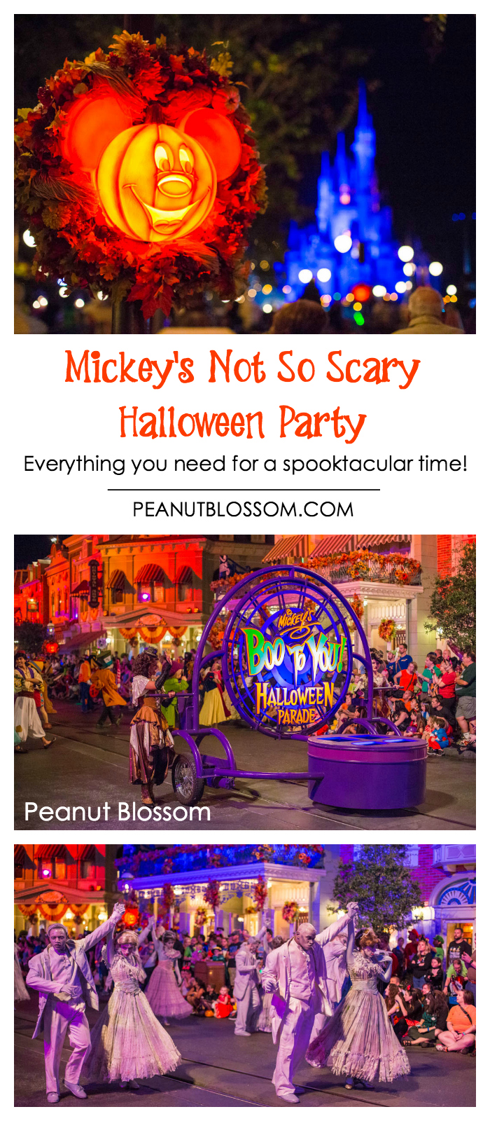 Mickey's Not So Scary Halloween Party tips