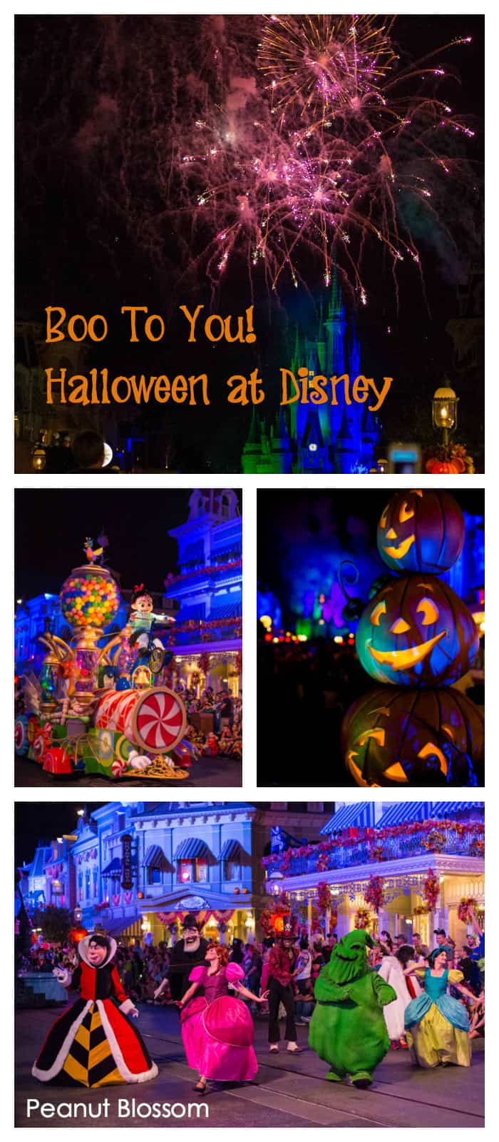 Mickey's Not So Scary Halloween Party tips