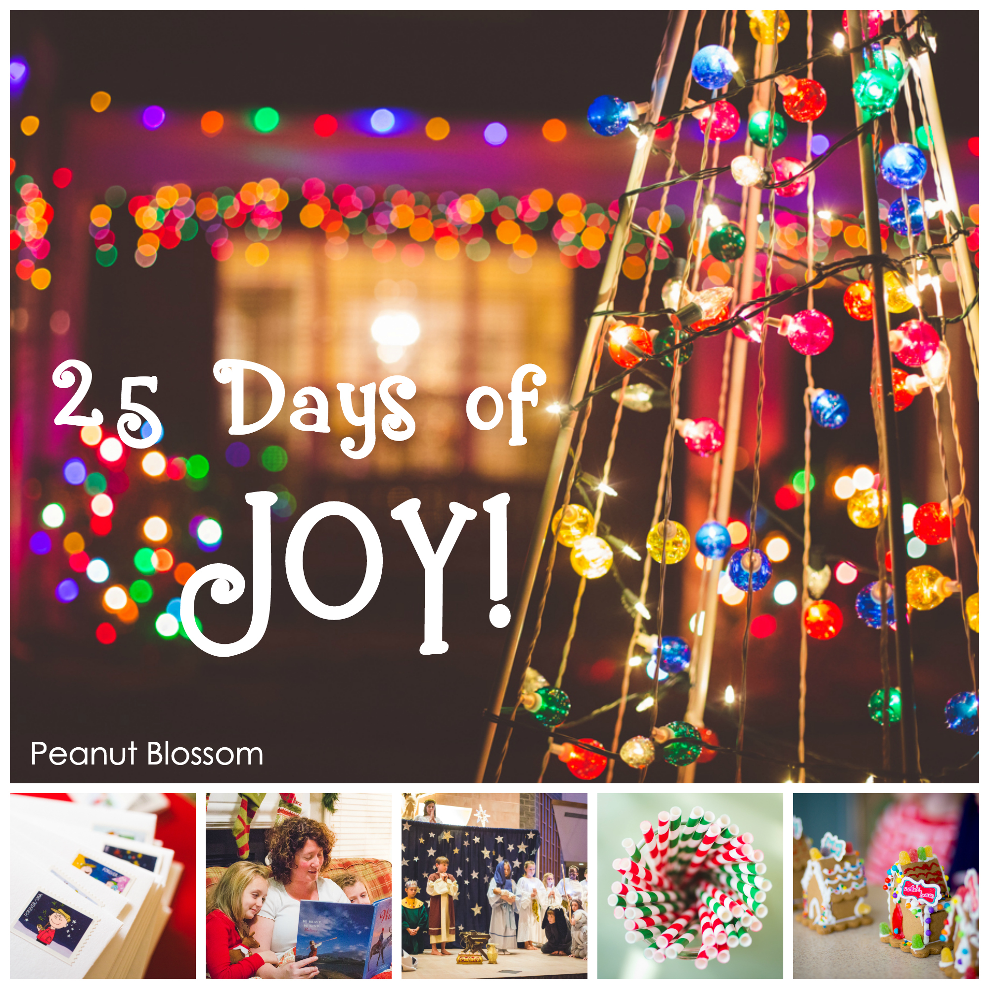 25 Days of Joy: a photography project for moms