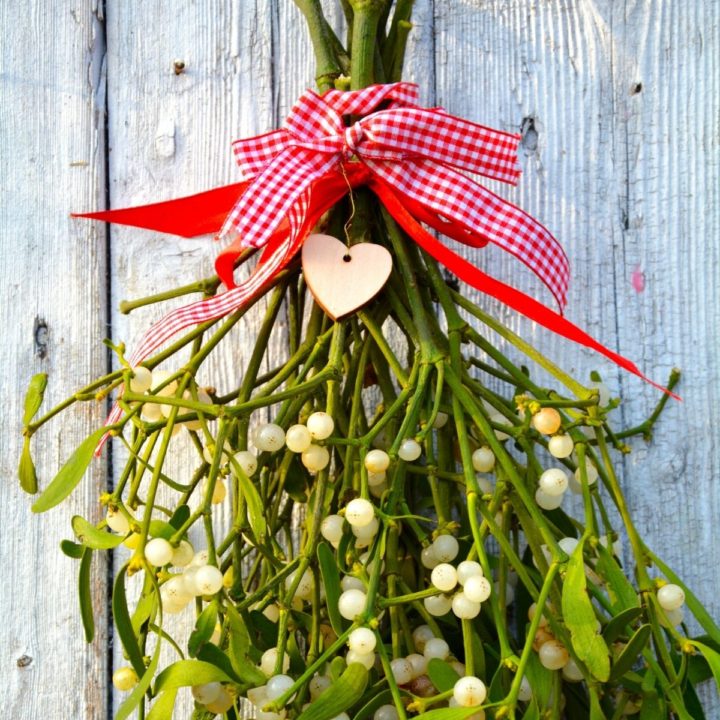 A bunch of mistletoe tied in a red gingham ribbon.