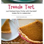 A simple treacle tart recipe for Harry Potter Fans sits on a plate.