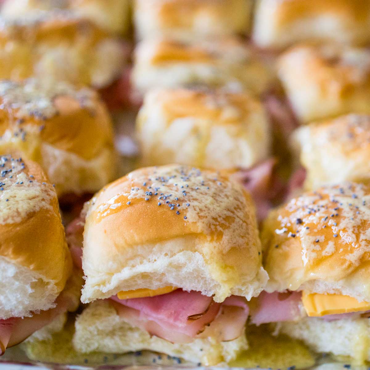 A filled baking pan of mini ham sliders with butter dripping off the top and a sprinkle of poppyseeds on each one.