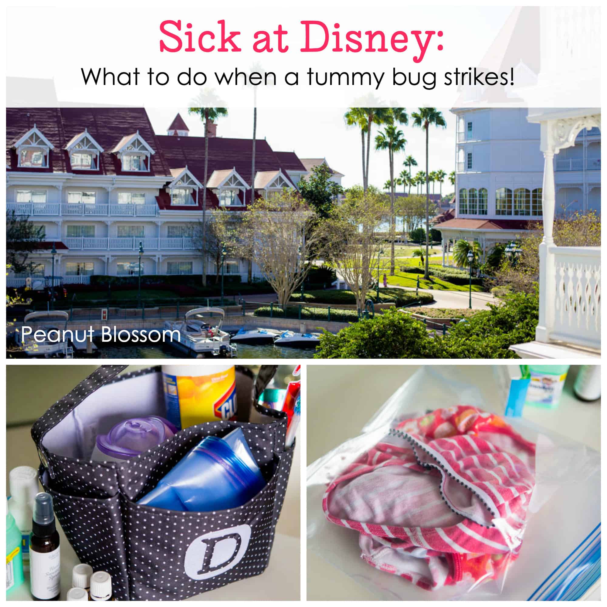 What to do with kids sick at disney