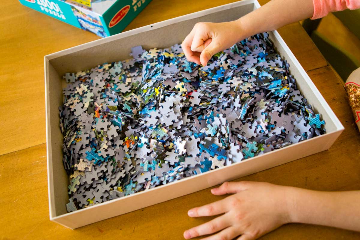 A new puzzle is opened and a girl's hands are sorting pieces.