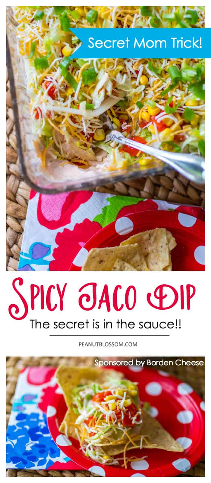 Mom's Kitchen Secrets for making the best ever spicy taco dip with cream cheese