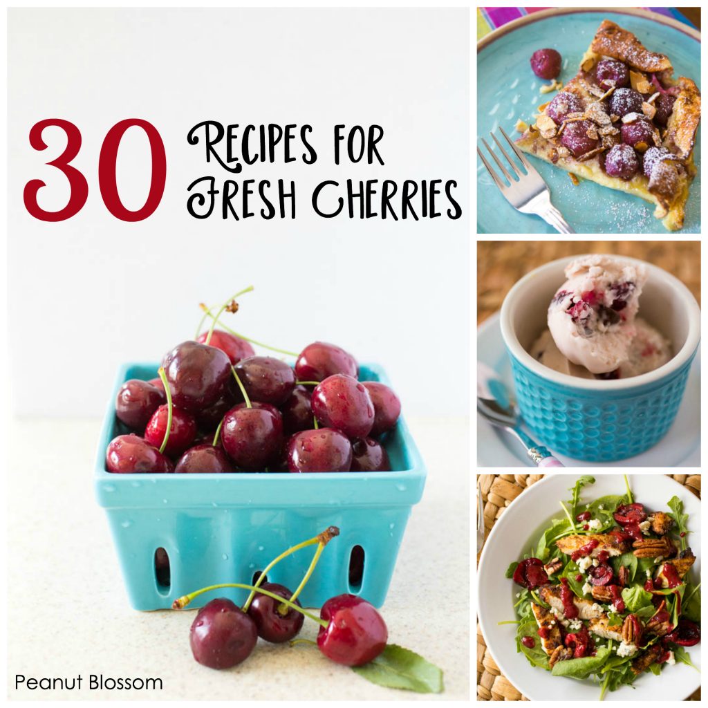30 fresh cherry recipes: from baking to savory dinners, all the best ways to use cherries are here!