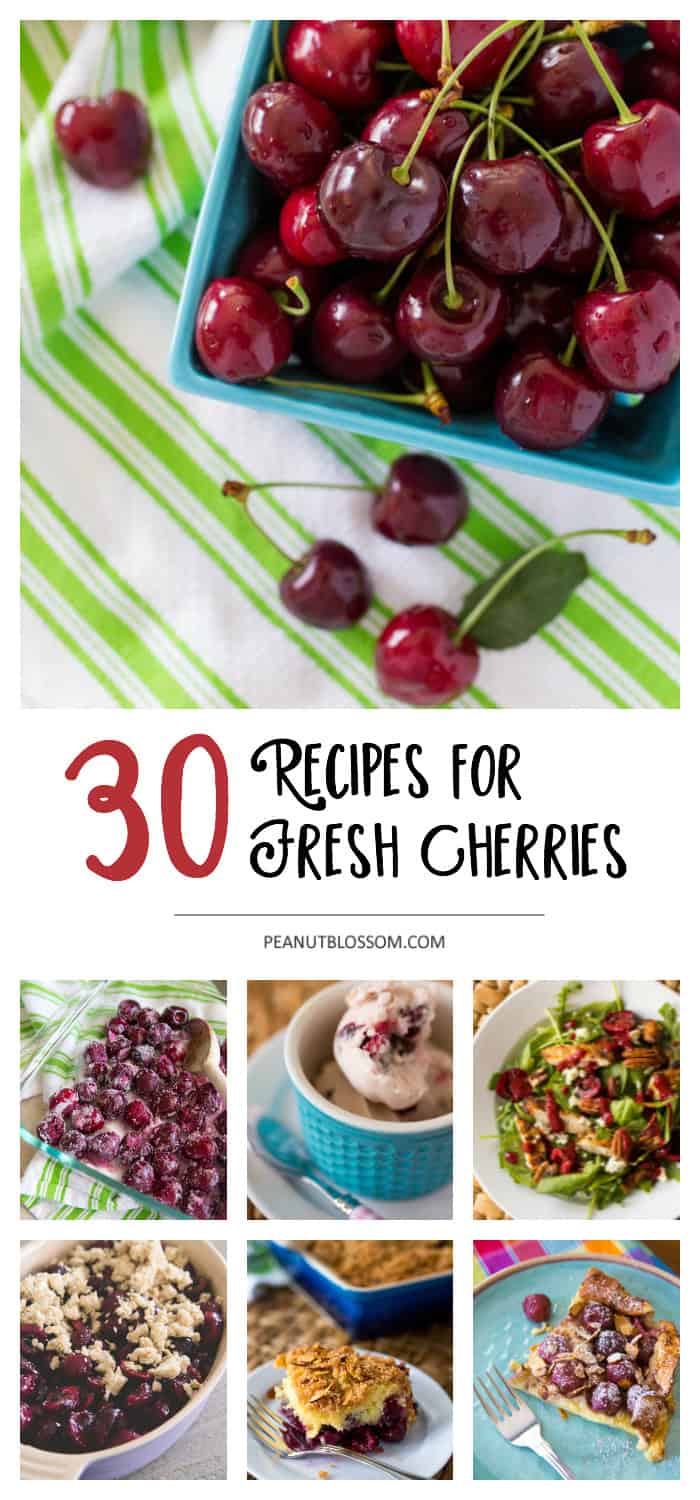 30 fresh cherry recipes that your whole family will love! From sweet desserts to savory dinners, all the cherry recipes you need are here.