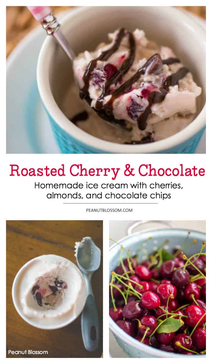 Roasted cherry ice cream with almonds and chocolate chips