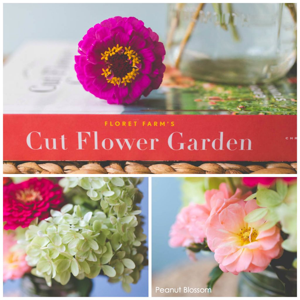 How to set up a cut flower garden for beginners