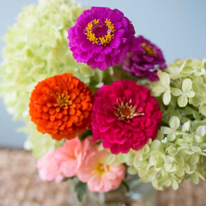 A vase of cut flowers shows some of the fun varieties you can grow in a patio garden.