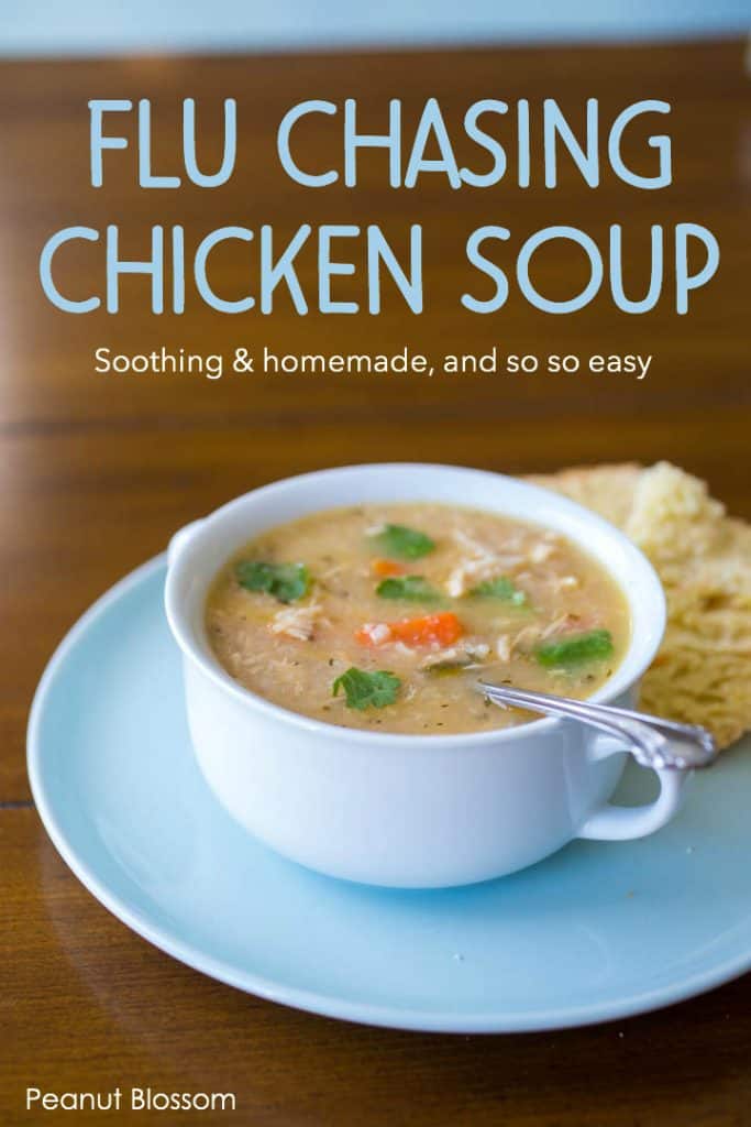 Real homemade chicken soup for cold and flu season