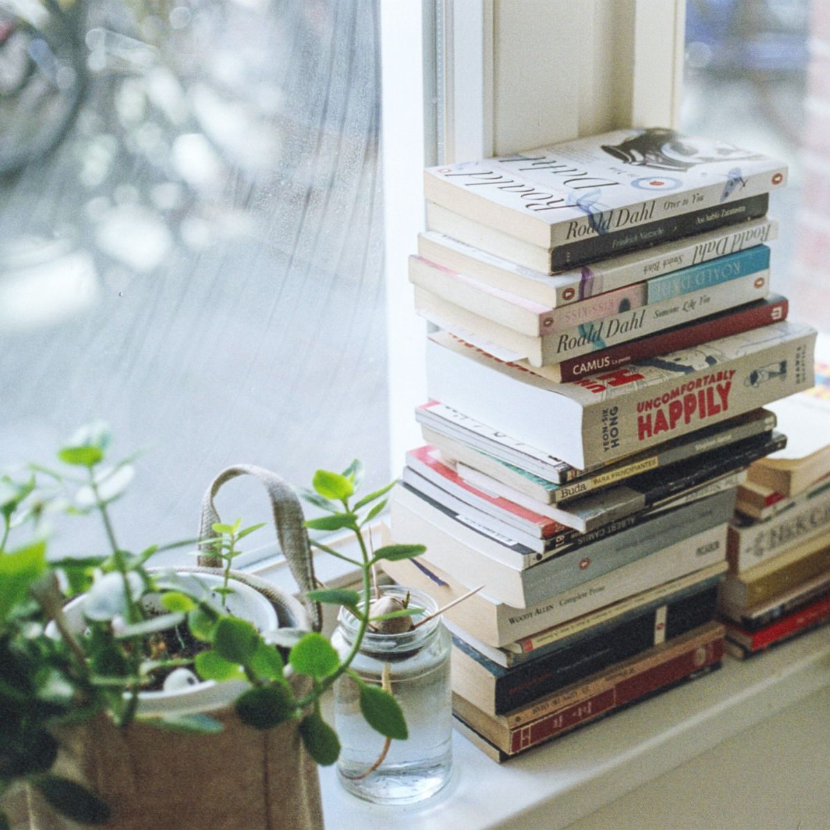 A book pile in a windowsill by a plant.