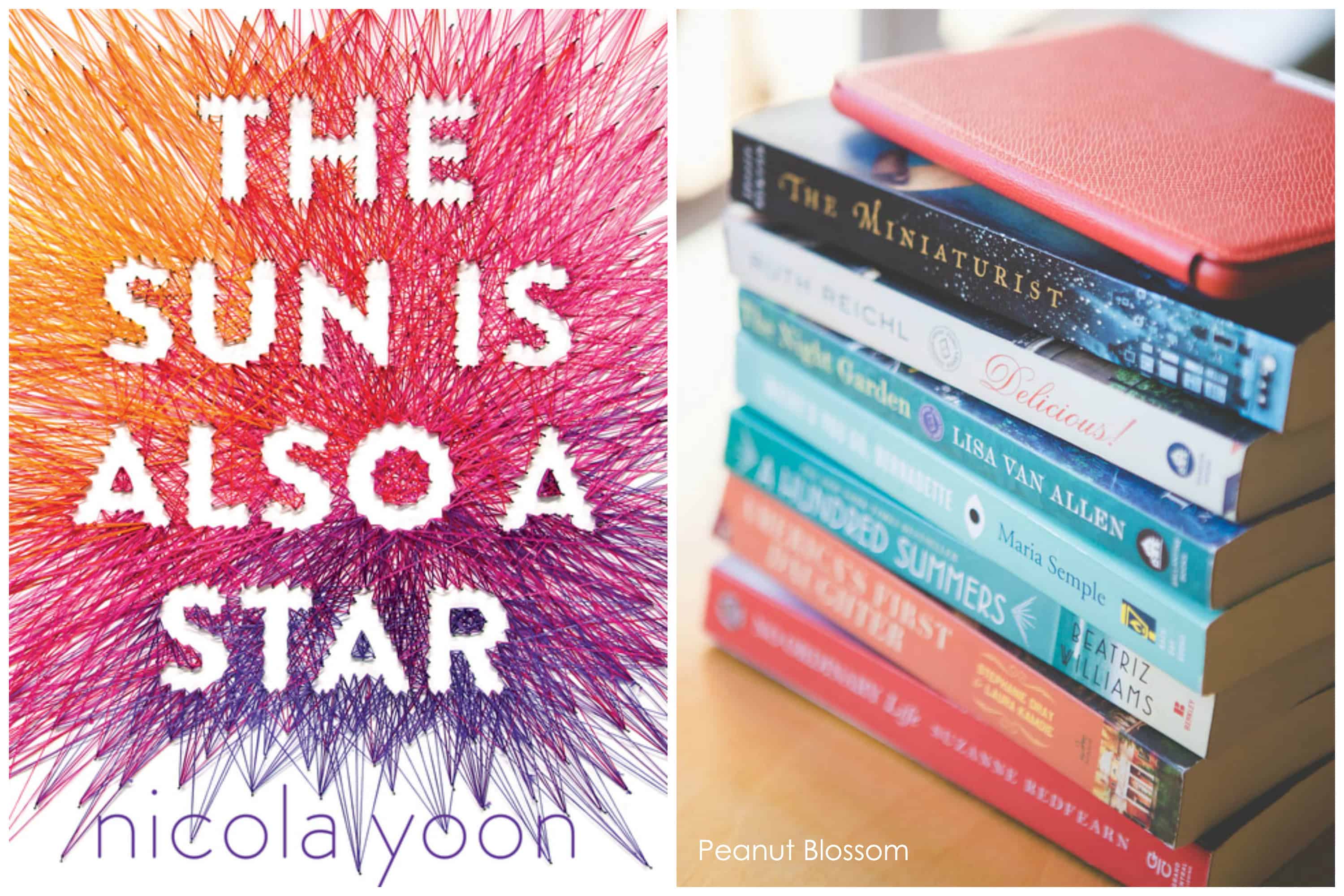 The Sun Is Also a Star: the perfect way to revive your book club