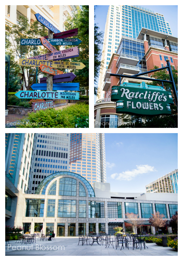 Travel the Carolinas: Things to see in Charlotte