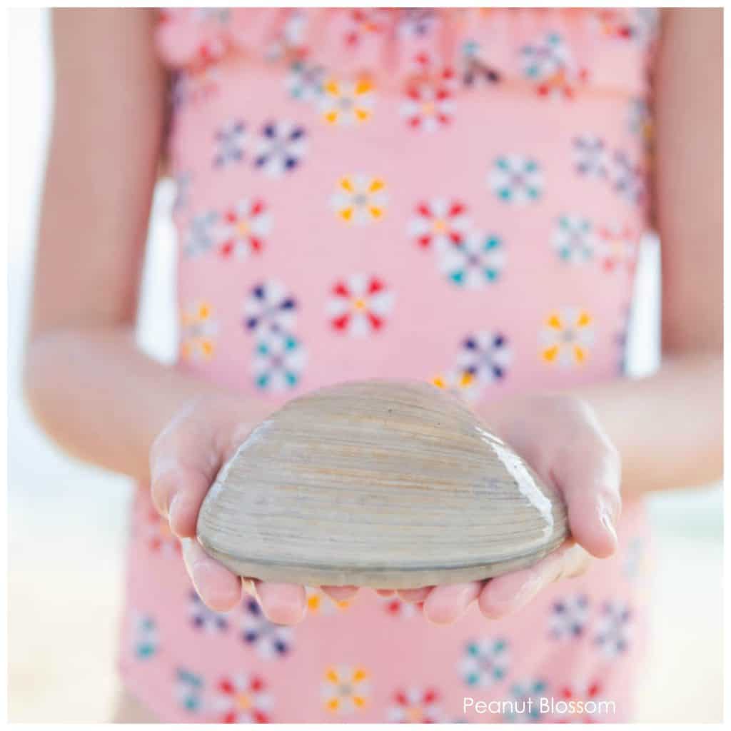 Collecting shells with kids at the beach: a fun travel activity for reconnecting with your kids.