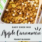 The photo collage shows the Chex mix in a serving pan next to a photo of dried apple chips.