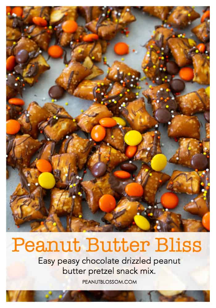 Ridiculously easy chocolate peanut butter pretzels snack mix