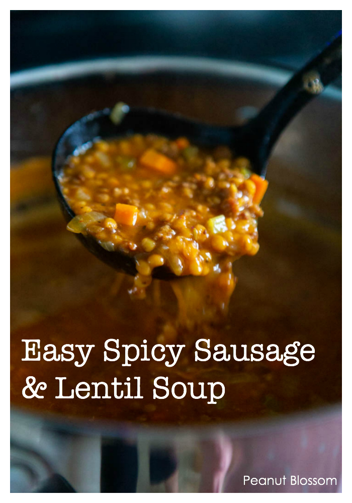 Make a huge pot of this best spicy sausage and lentil soup recipe for kids