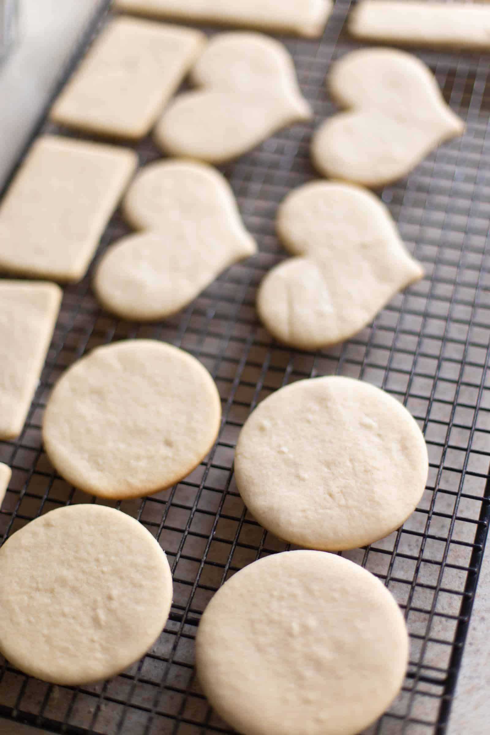 A batch of plain sugar cookies are cooling on a wire rack.