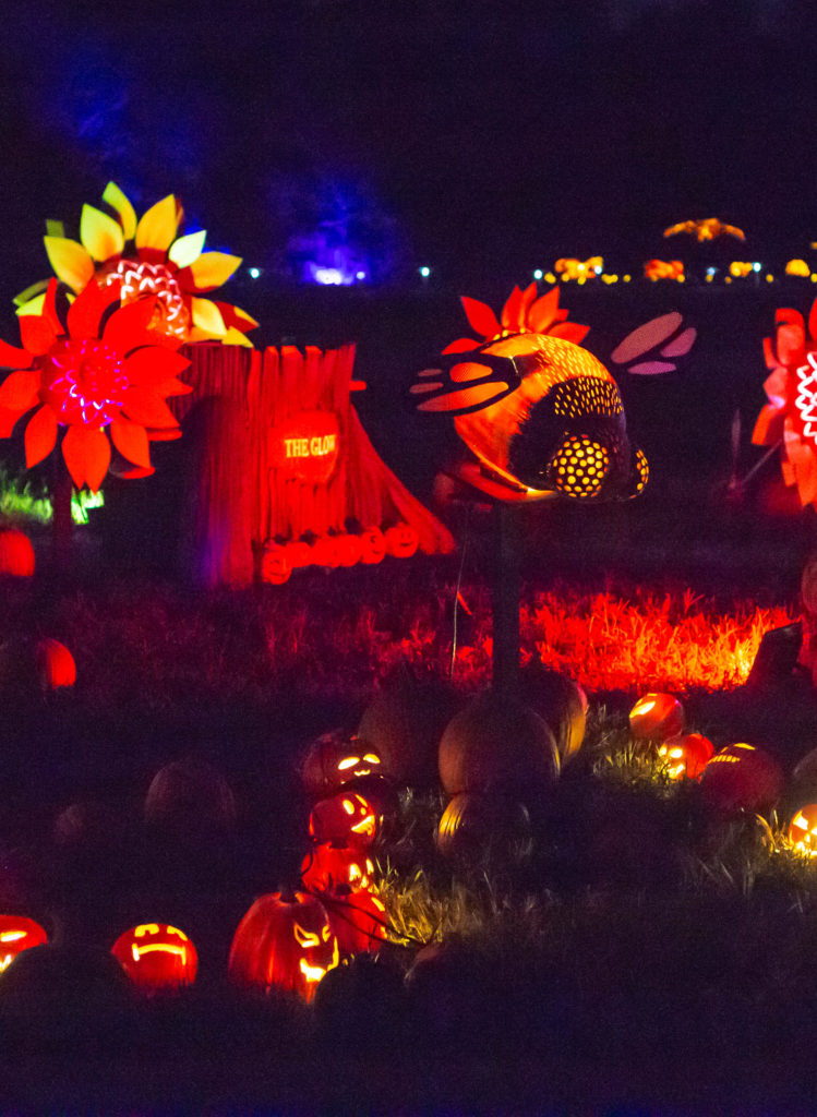 The Glow Charlotte: a family-friendly Halloween event in Concord