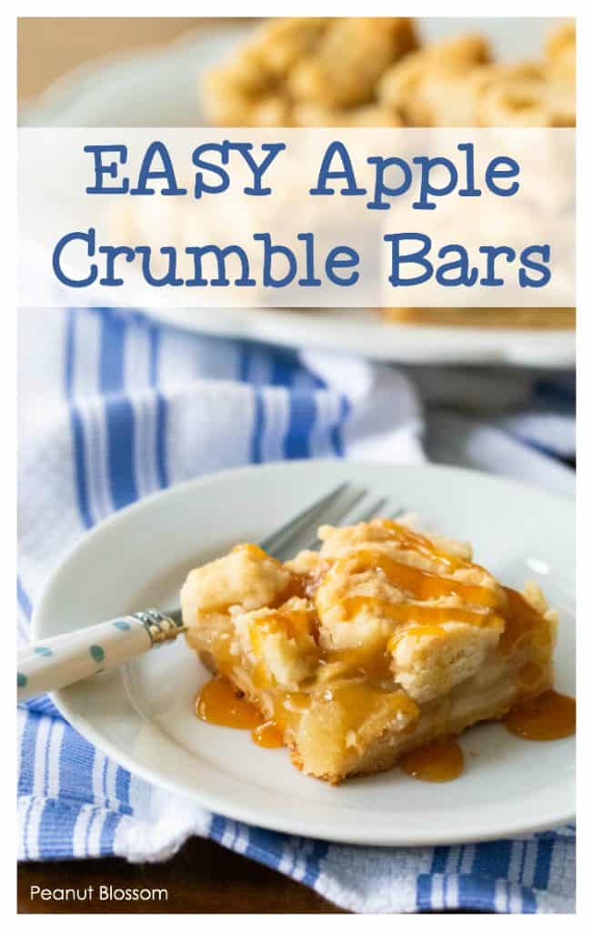 Apple crumble topping for easy apple pie bars. These are the perfect Thanksgiving treat.