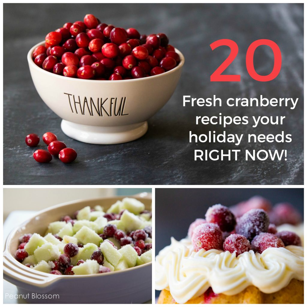 20 fresh cranberry recipes your holiday needs RIGHT NOW!