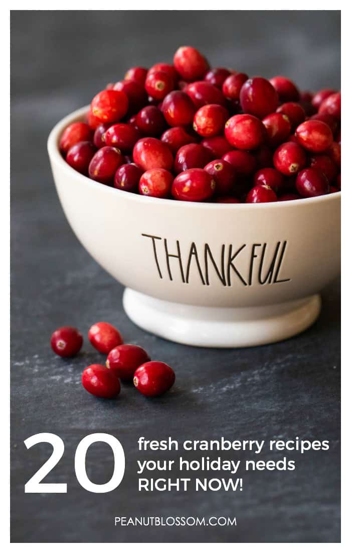 20 fresh cranberry recipes for Thanksgiving or Christmas