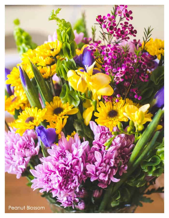 Trader Joe's Flowers: Easy Guide for Spending Less than $20