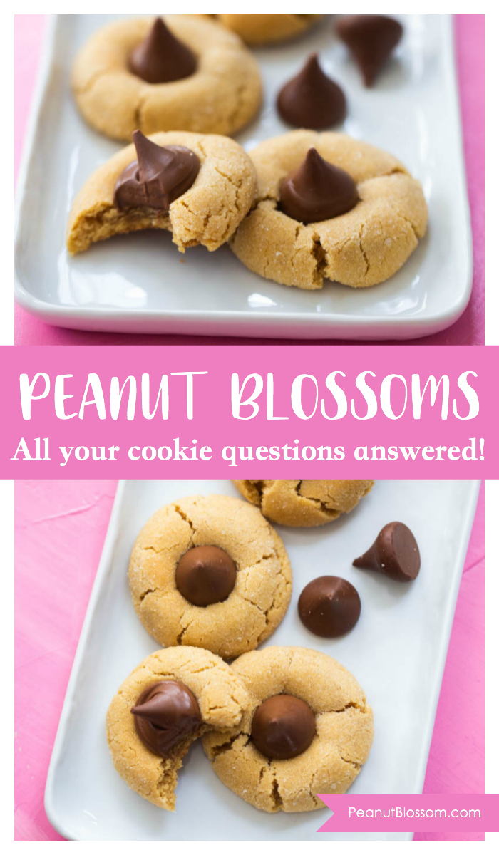 The ultimate guide to baking peanut butter blossoms. Every question you have about baking this classic peanut butter cookie answered!