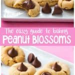 A pink surface has a tray of peanut butter blossom cookies with Hershey kisses on top.