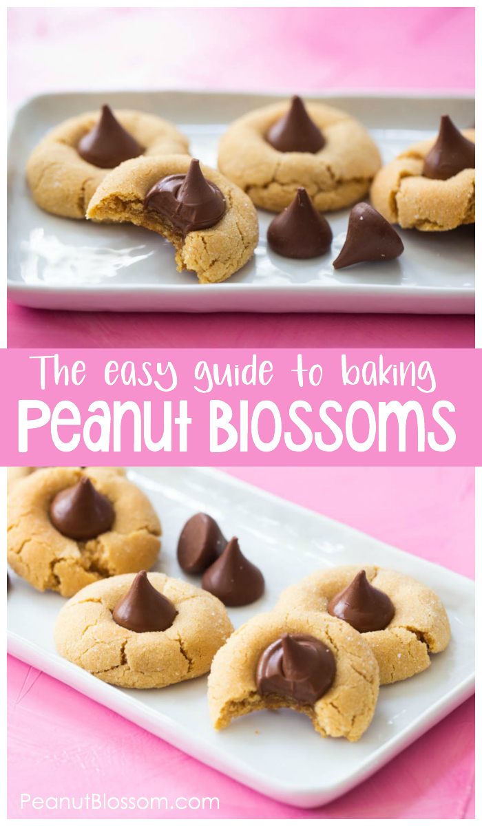The easy guide to baking peanut butter blossoms, everyone's favorite peanut butter cookie with Hershey kisses on top.