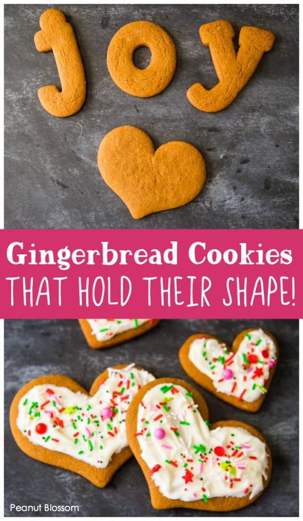 Easy Gingerbread Cookies for Kids - Peanut Blossom