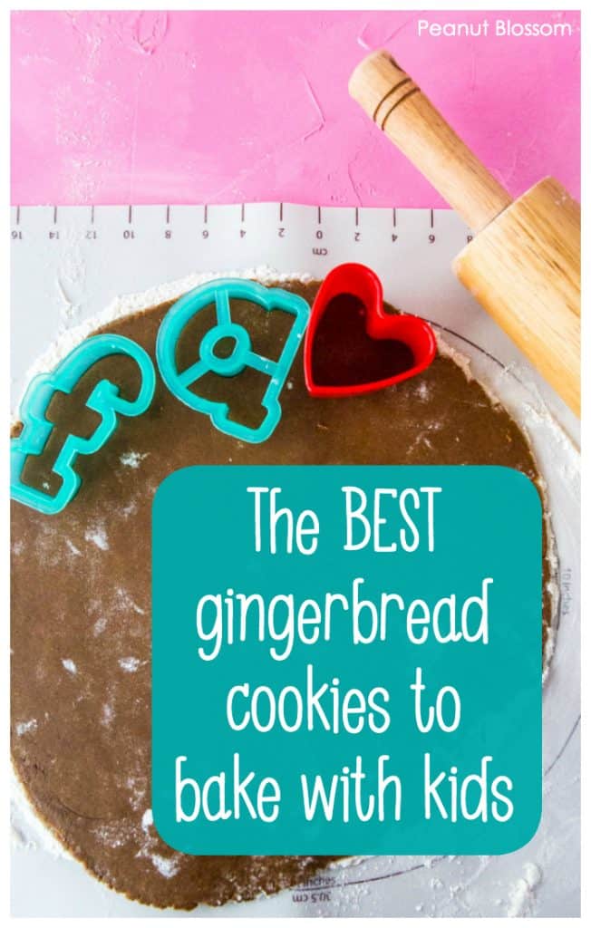Easy Gingerbread Cookies for Kids - Peanut Blossom