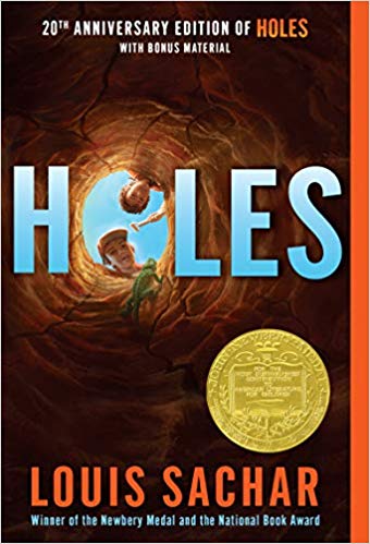 The cover of the book Holes